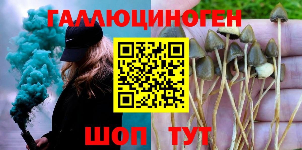 Ялта  Псилоцибиновые грибы Psilocybe  Вход с VPN  Псилоцибиновые грибы Psilocybe 